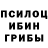 Галлюциногенные грибы Cubensis Marita Harmzen