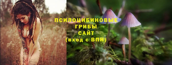 2c-b Алзамай