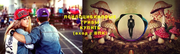 шишки Алексеевка