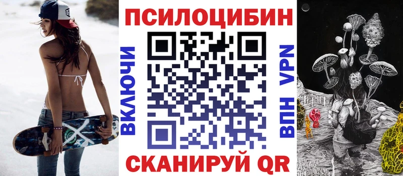 OMG рабочий сайт  дарк нет какой сайт  Галлюциногенные грибы Psilocybe  Карачаевск 